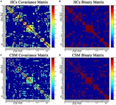 Altered Topological Properties of Brain Structural Covariance Networks in Patients With Cervical Spondylotic Myelopathy